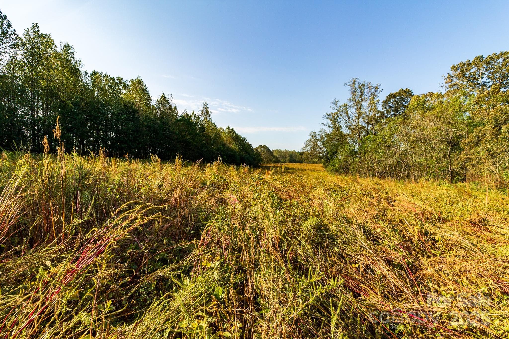 Acreage at 00 Lattimore Road, Shelby, photo 17 of 22