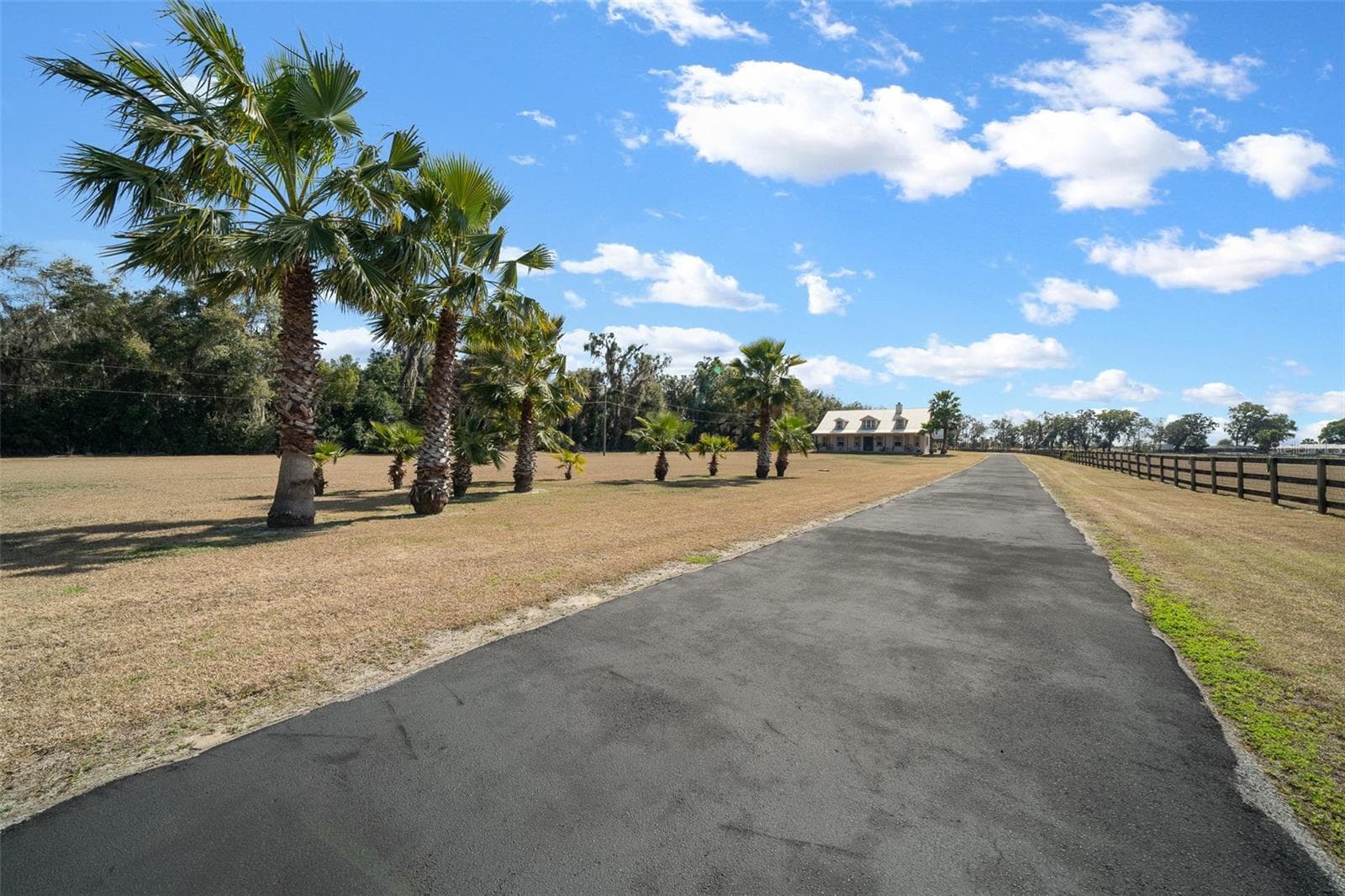Farm at 2198 W HIGHWAY 329, CITRA, photo 5 of 57
