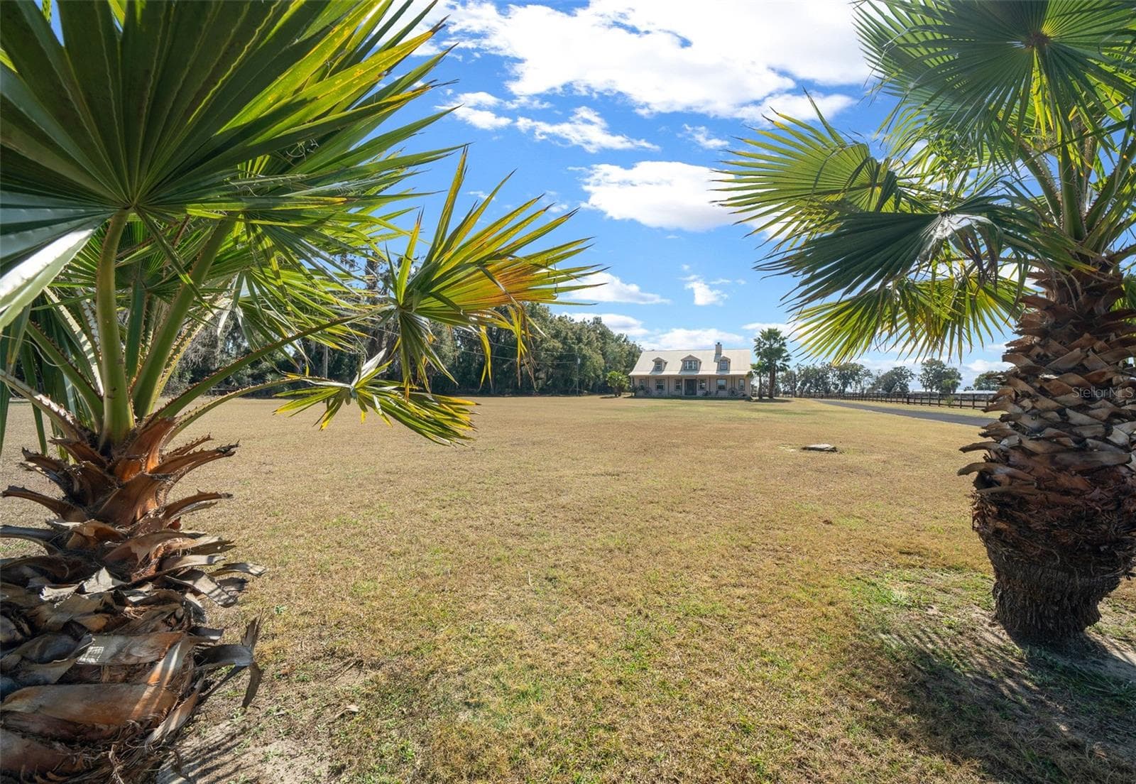 Farm at 2198 W HIGHWAY 329, CITRA, photo 6 of 57