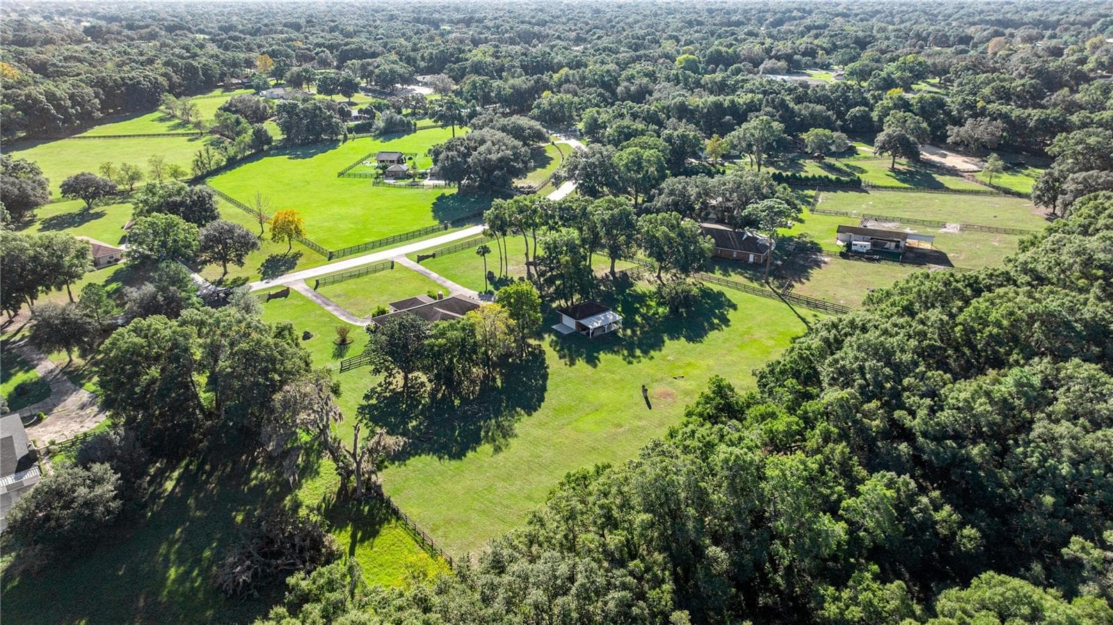 VIEW OF THE PROPERTY FROM THE WOOD IN THE BACK - 9812 SW 74TH AVE, OCALA