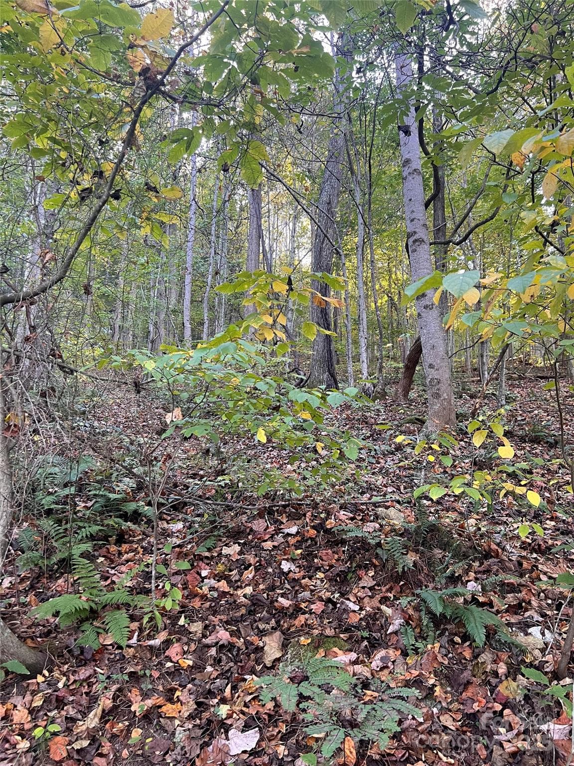 Acreage at 9999 Fox Town Road, Hot Springs, photo 2 of 4