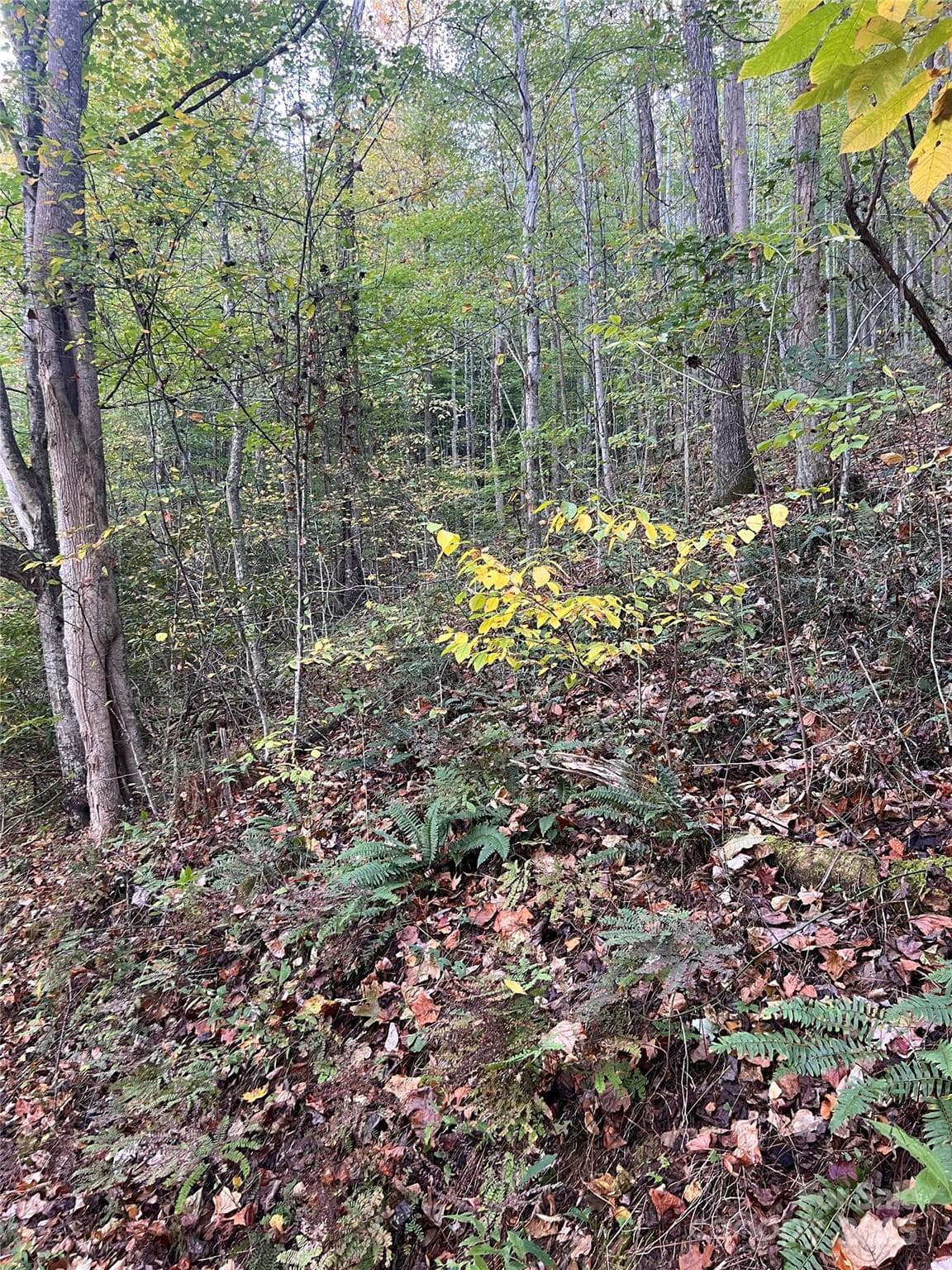 Acreage at 9999 Fox Town Road, Hot Springs, photo 3 of 4