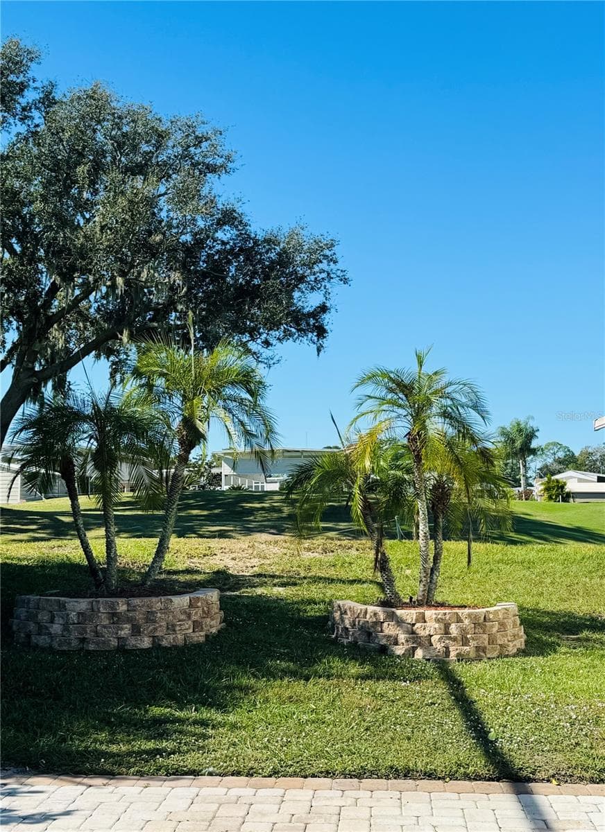 Palm Trees on the property - 2738 ST GEORGE DR, DAVENPORT