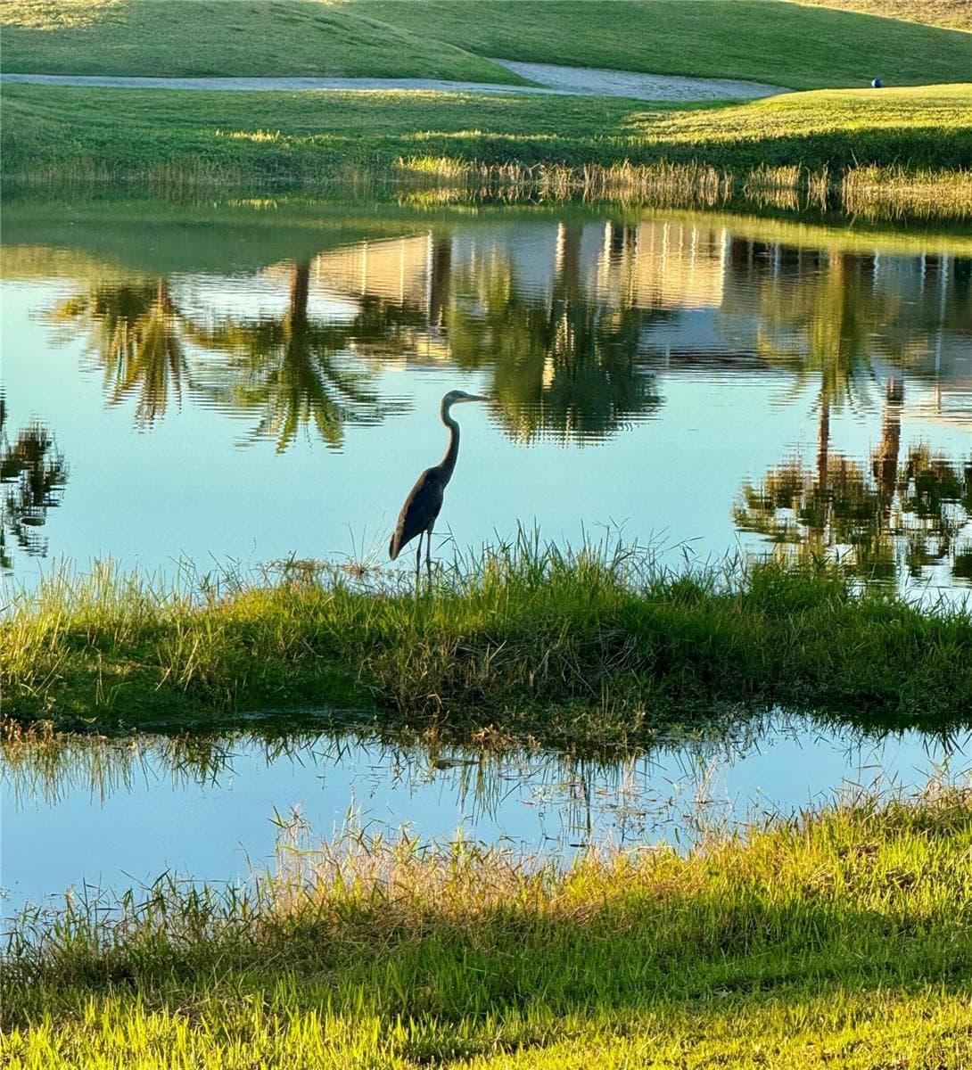 Lots of Wildlife on the pond - 2738 ST GEORGE DR, DAVENPORT