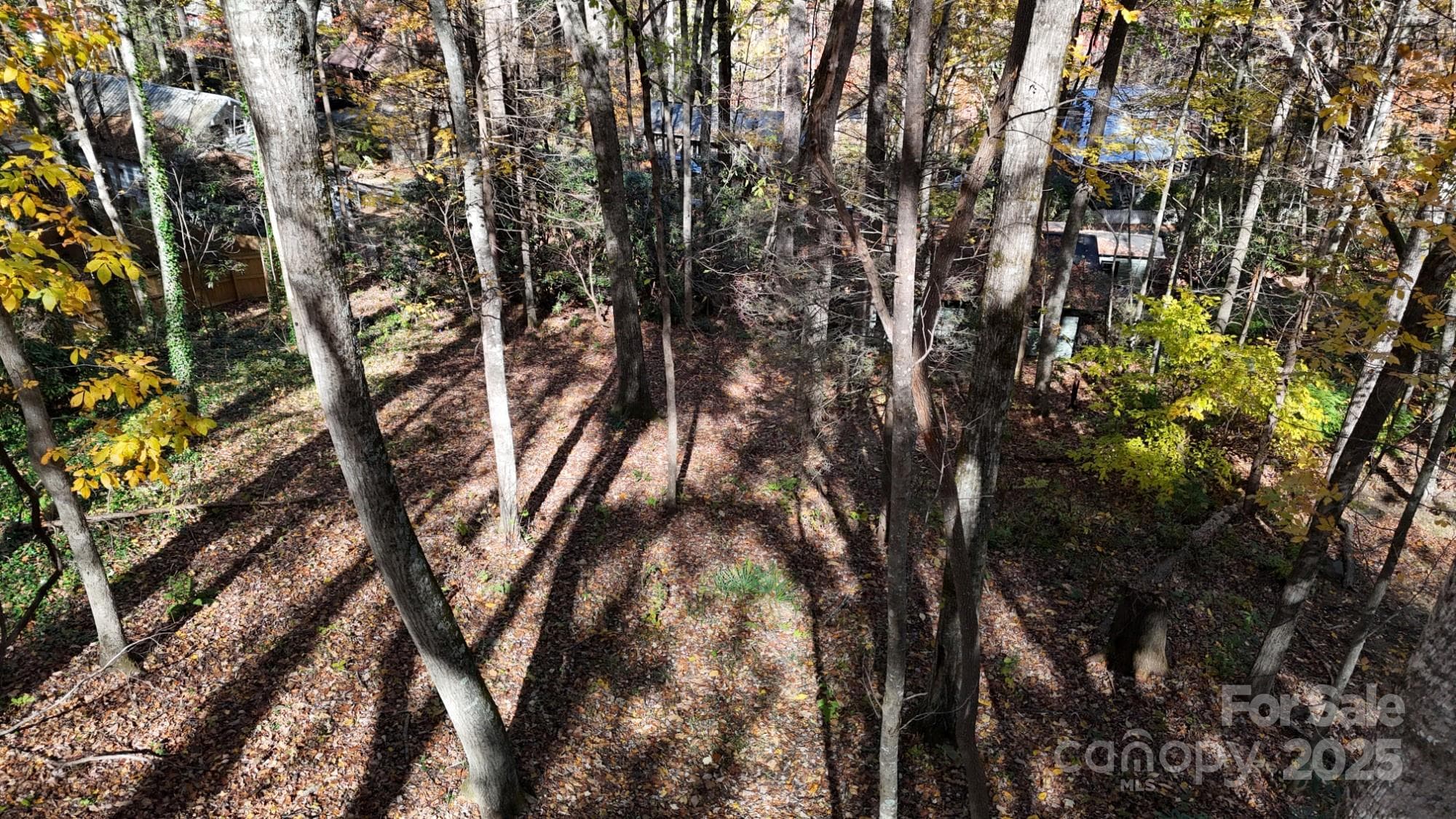 Lot at Maggie Valley, photo 4 of 23