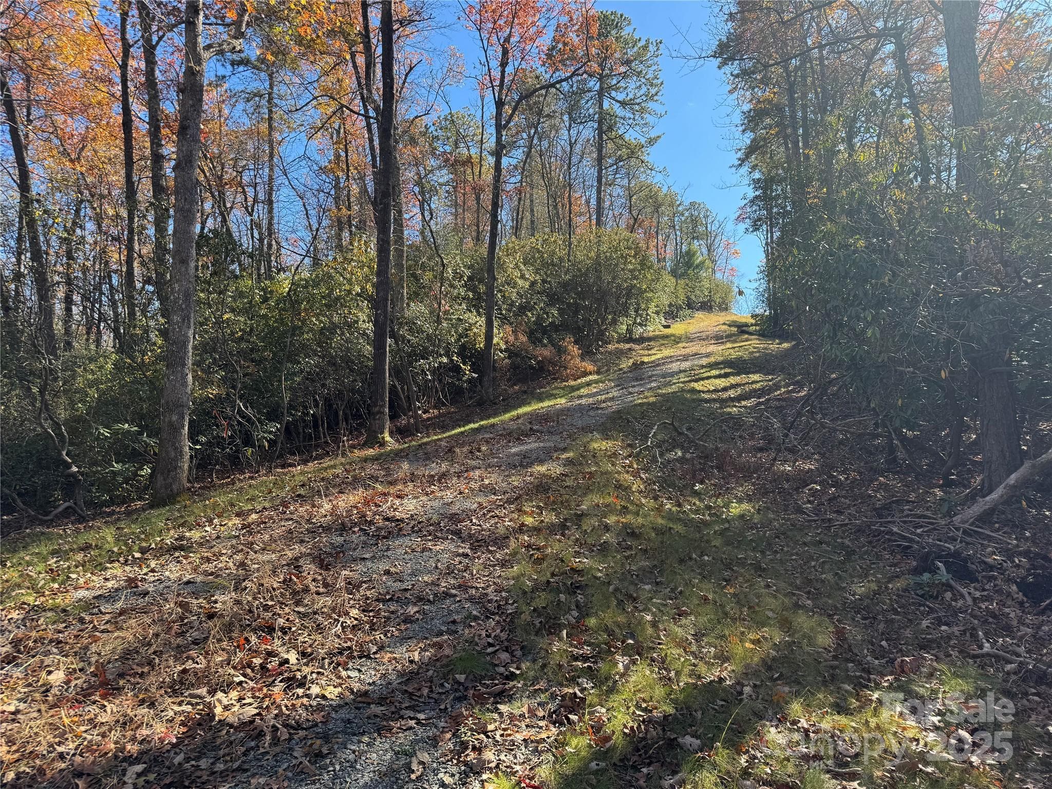 Acreage at 00 Normcol Road, Pisgah Forest, photo 4 of 13