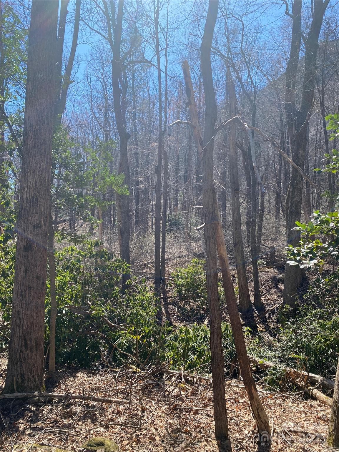 Lot at Lake Lure, photo 5 of 24