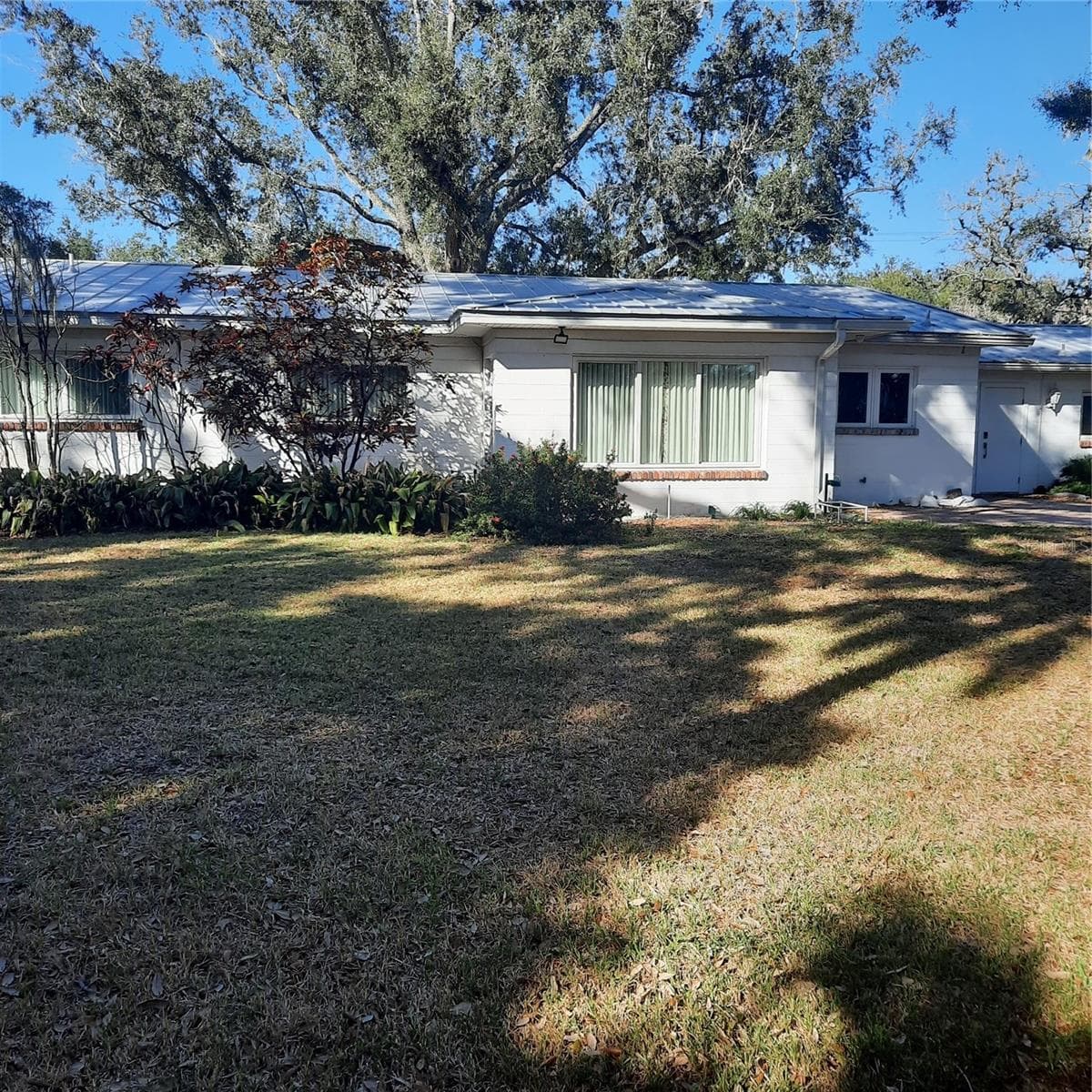 Rear of house - 4806 W SAN JOSE ST, TAMPA