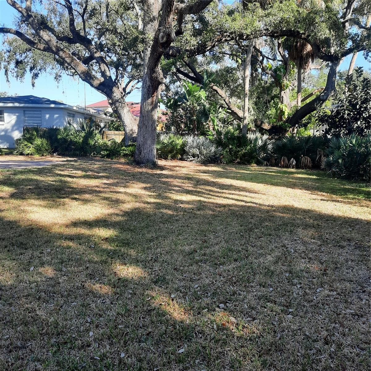 Rear yard facing east - 4806 W SAN JOSE ST, TAMPA