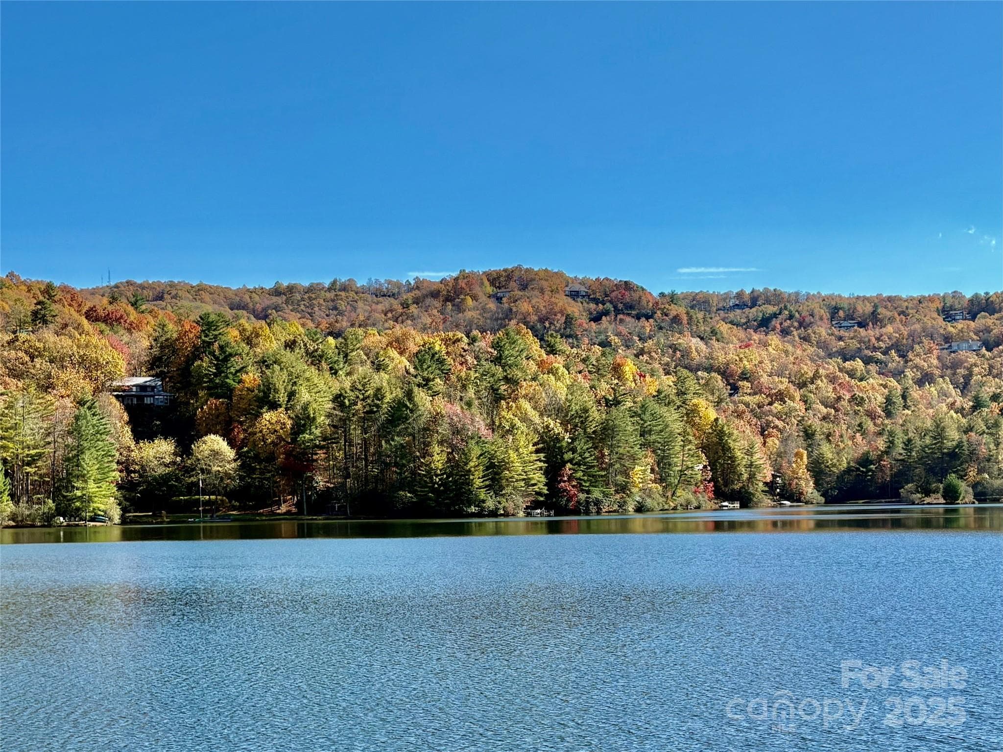 Acreage at Brevard, photo 2 of 16