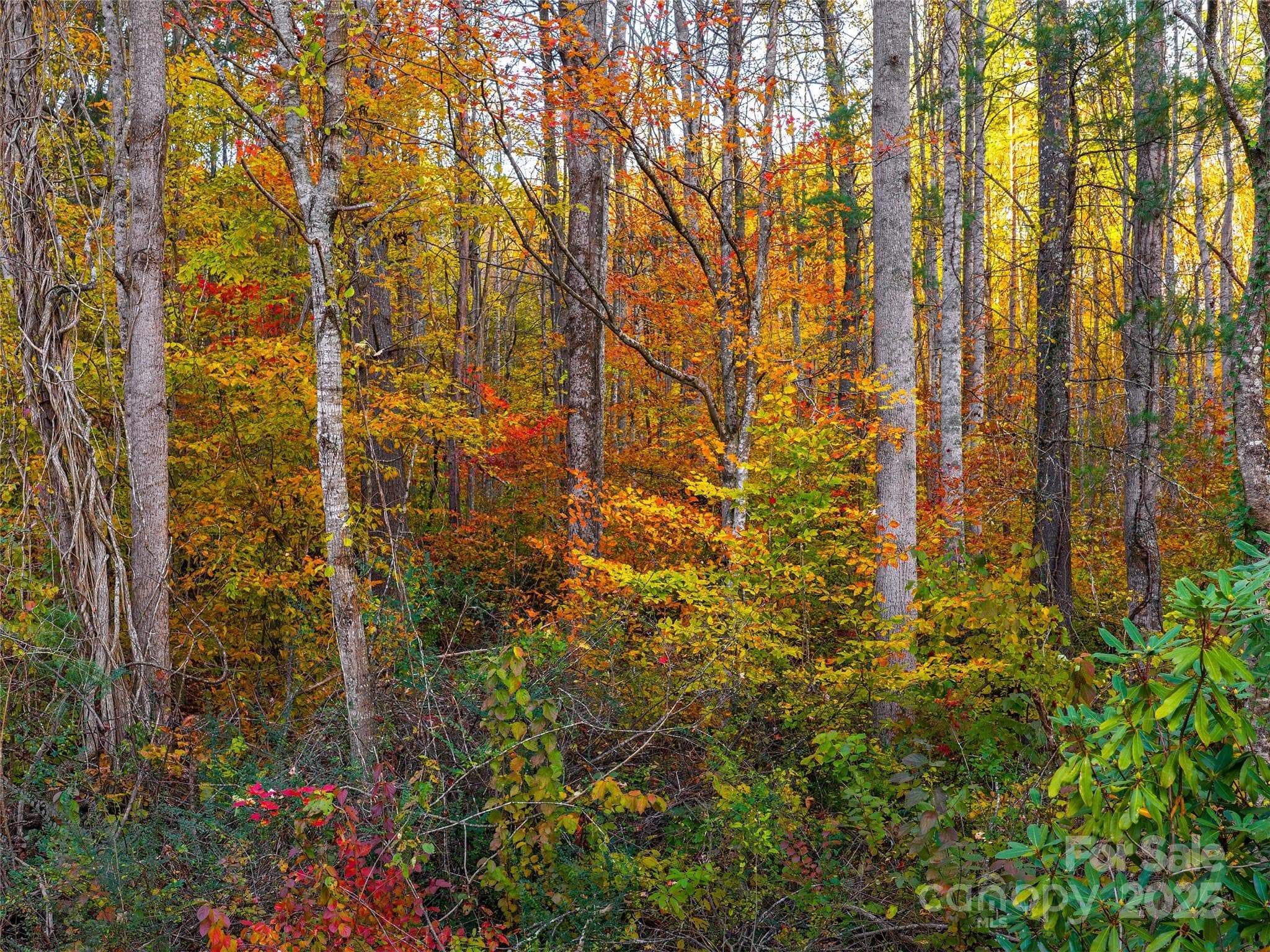Acreage at Asheville, photo 8 of 8