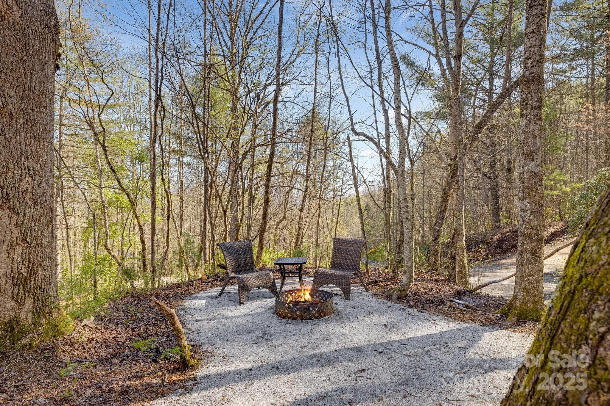 Acreage at 186 Meece Road, Rosman, photo 10 of 45