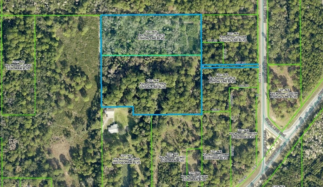 Aerial View from GIS Mapping. - SHOAL LINE BLVD, SPRING HILL