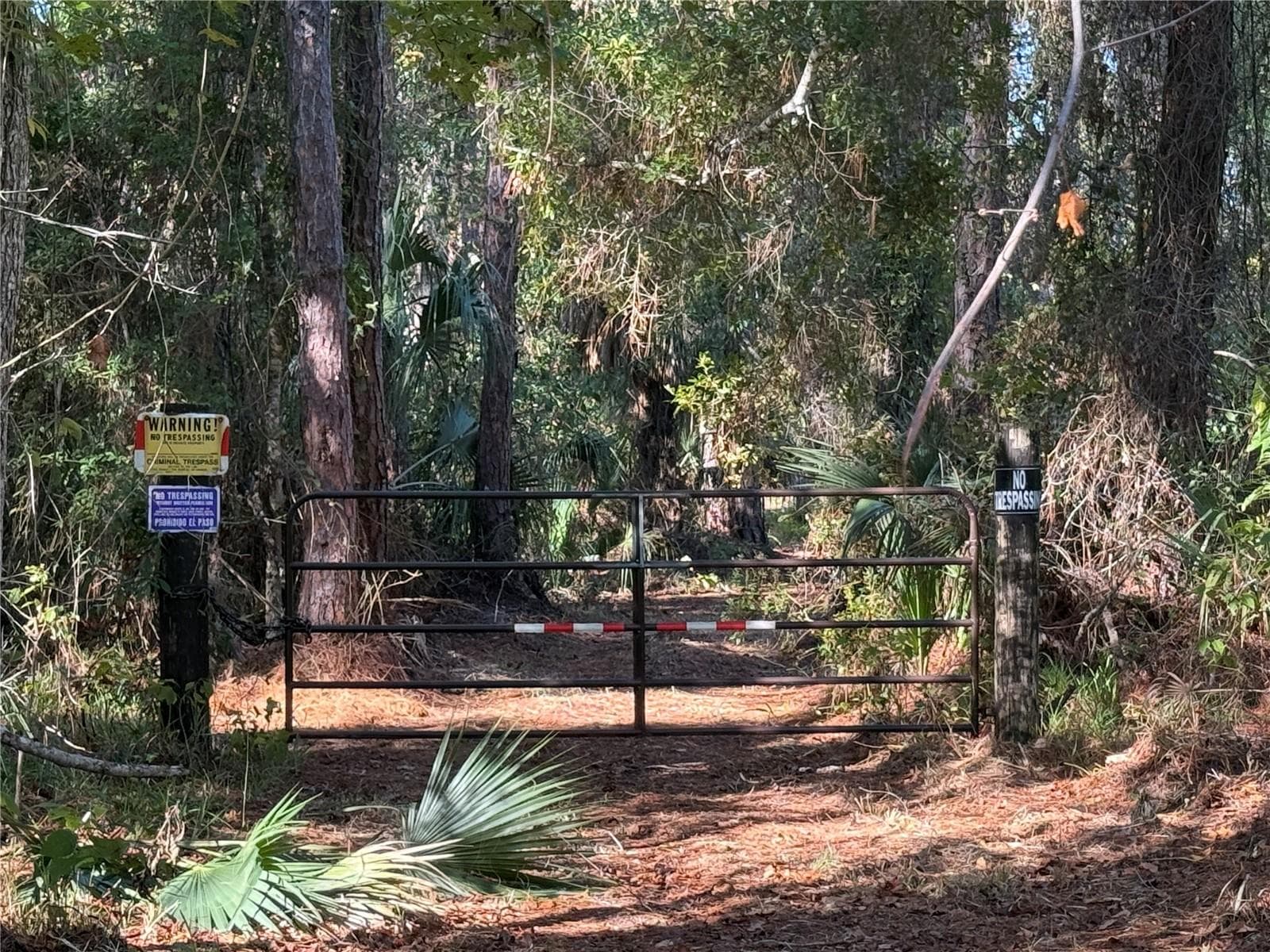 Gate on the west side of Shoal Line Road. - SHOAL LINE BLVD, SPRING HILL