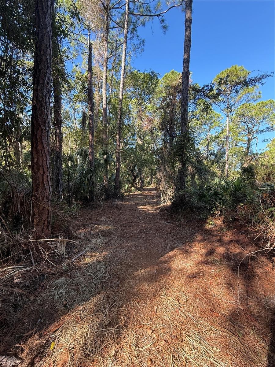 View of Easement on the west side of the gate / entrance. - SHOAL LINE BLVD, SPRING HILL