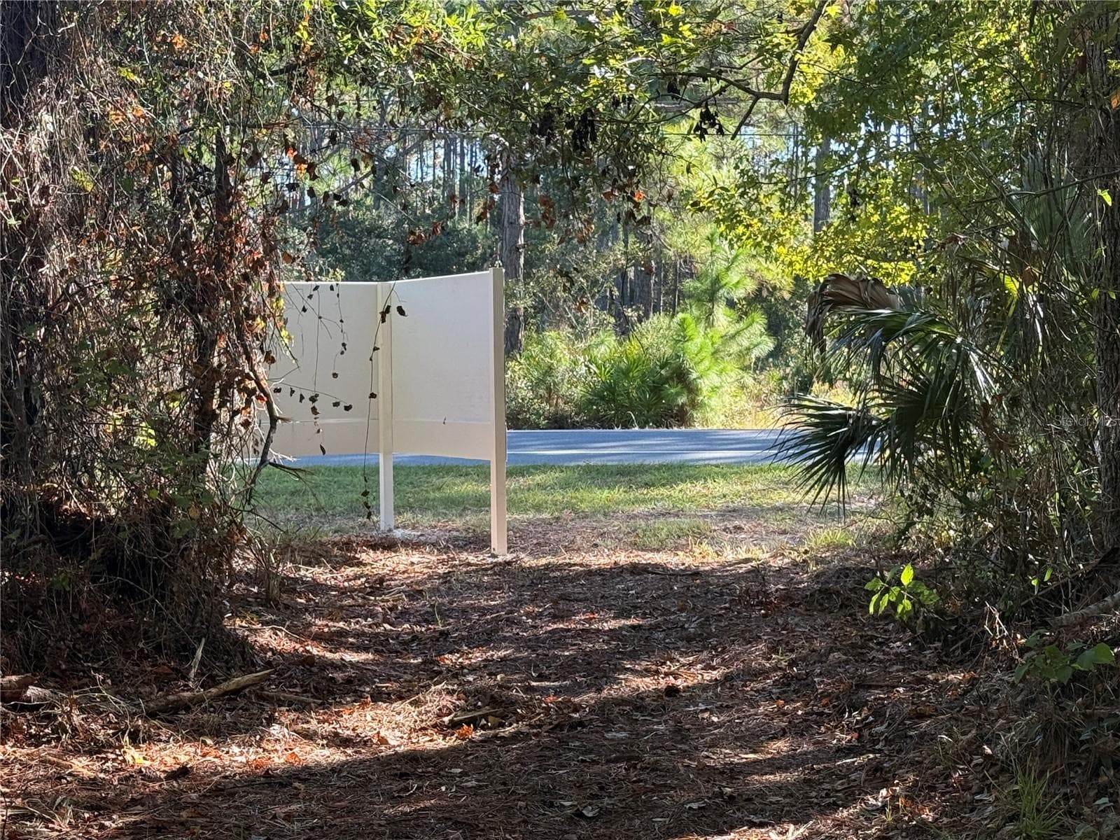 View from within the easement looking east towards Shoal Line Road. - SHOAL LINE BLVD, SPRING HILL
