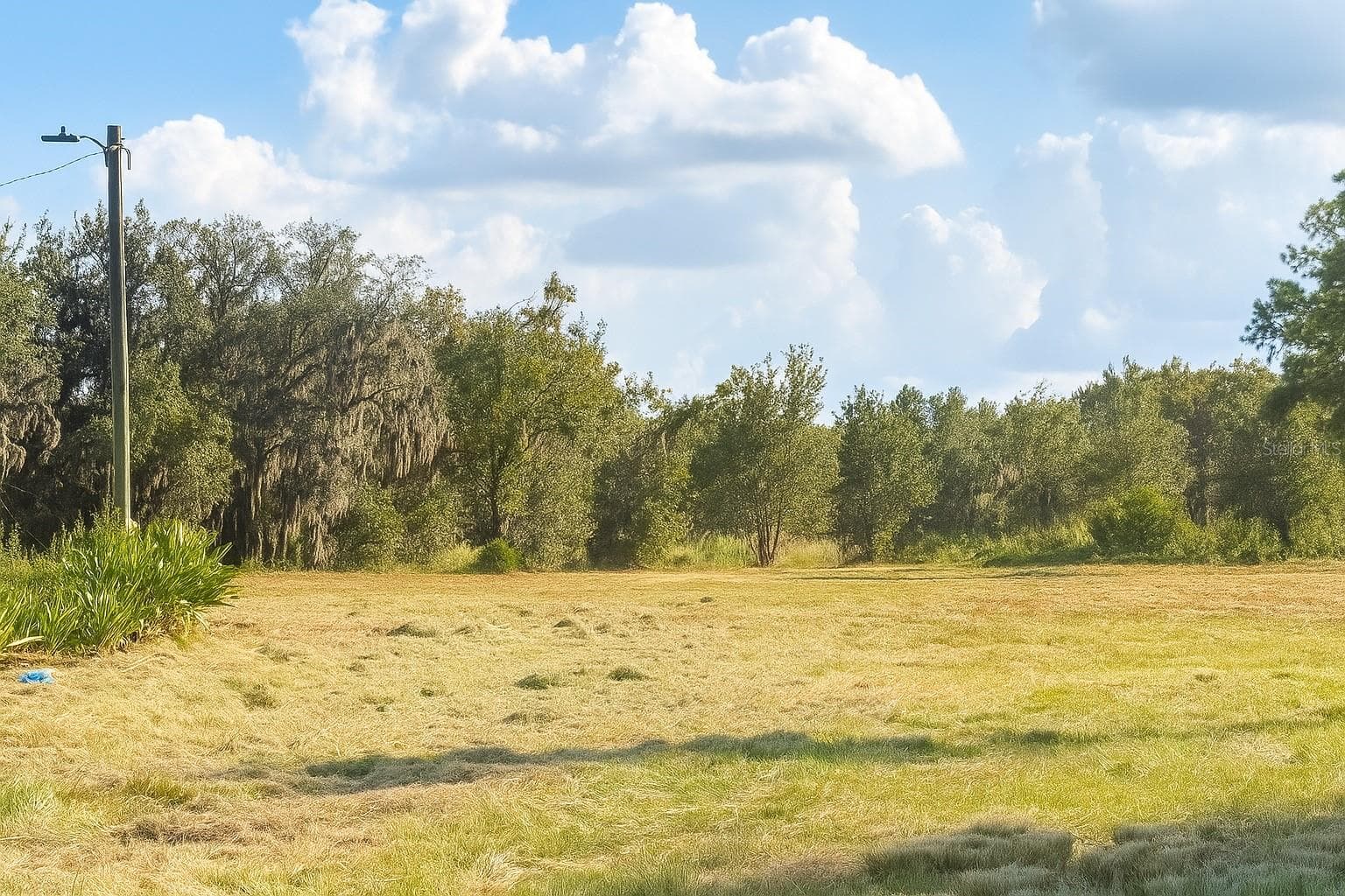 Land at 1205-1209 W ALEXANDER ST, PLANT CITY, photo 2 of 4