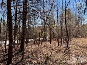 Acreage at 0000 Elliot Lane, Rutherfordton, photo 7 of 14