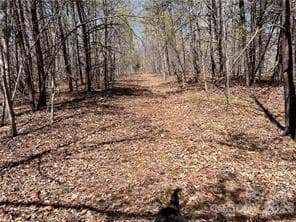 Acreage at 0000 Elliot Lane, Rutherfordton, photo 9 of 14