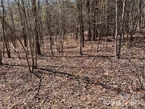 Acreage at 0000 Elliot Lane, Rutherfordton, photo 11 of 14