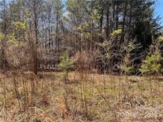 Acreage at 0000 Elliot Lane, Rutherfordton, photo 12 of 14
