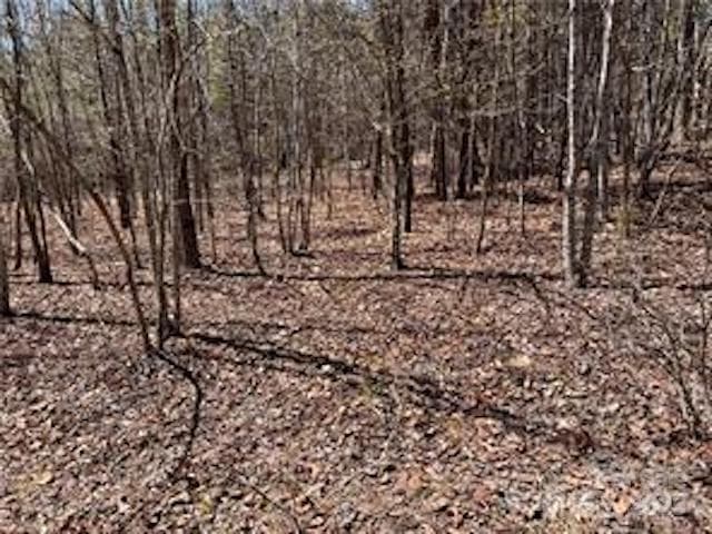 Acreage at 0000 Elliot Lane, Rutherfordton, photo 14 of 14