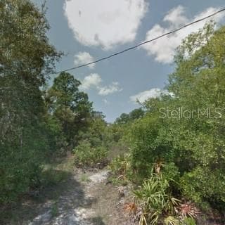 HEDGES ST