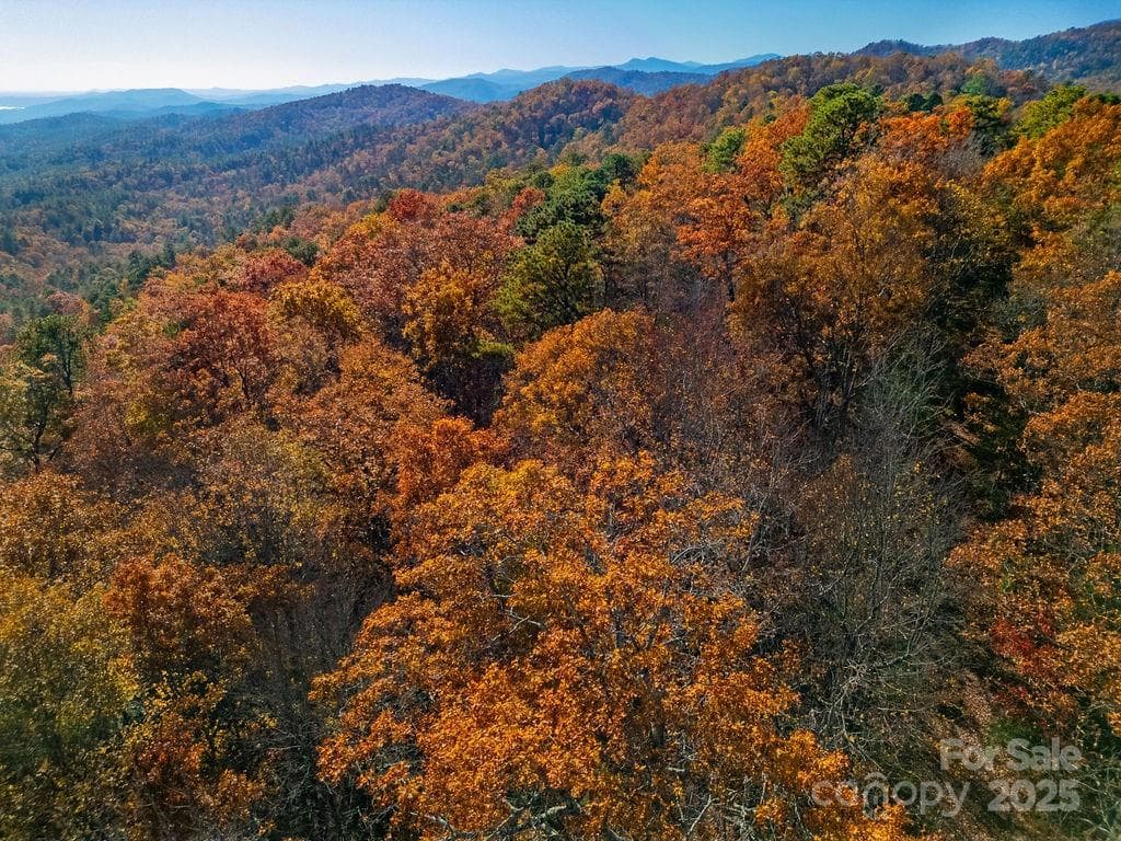 Lot at Brevard, photo 2 of 23