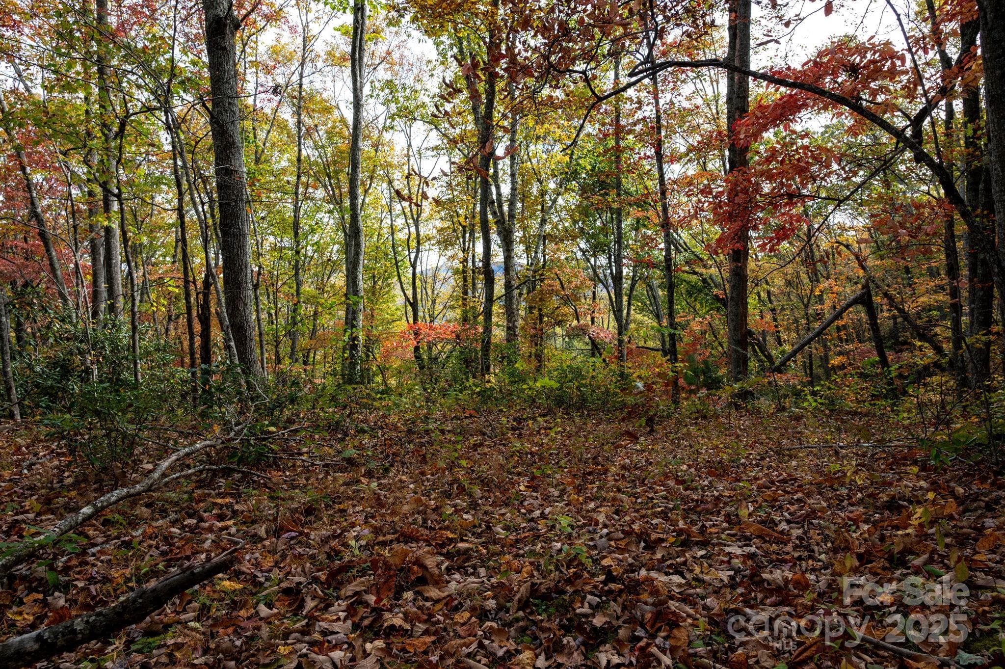 Lot at Black Mountain, photo 2 of 25