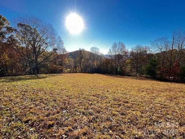 Partially cleared - Hendersonville