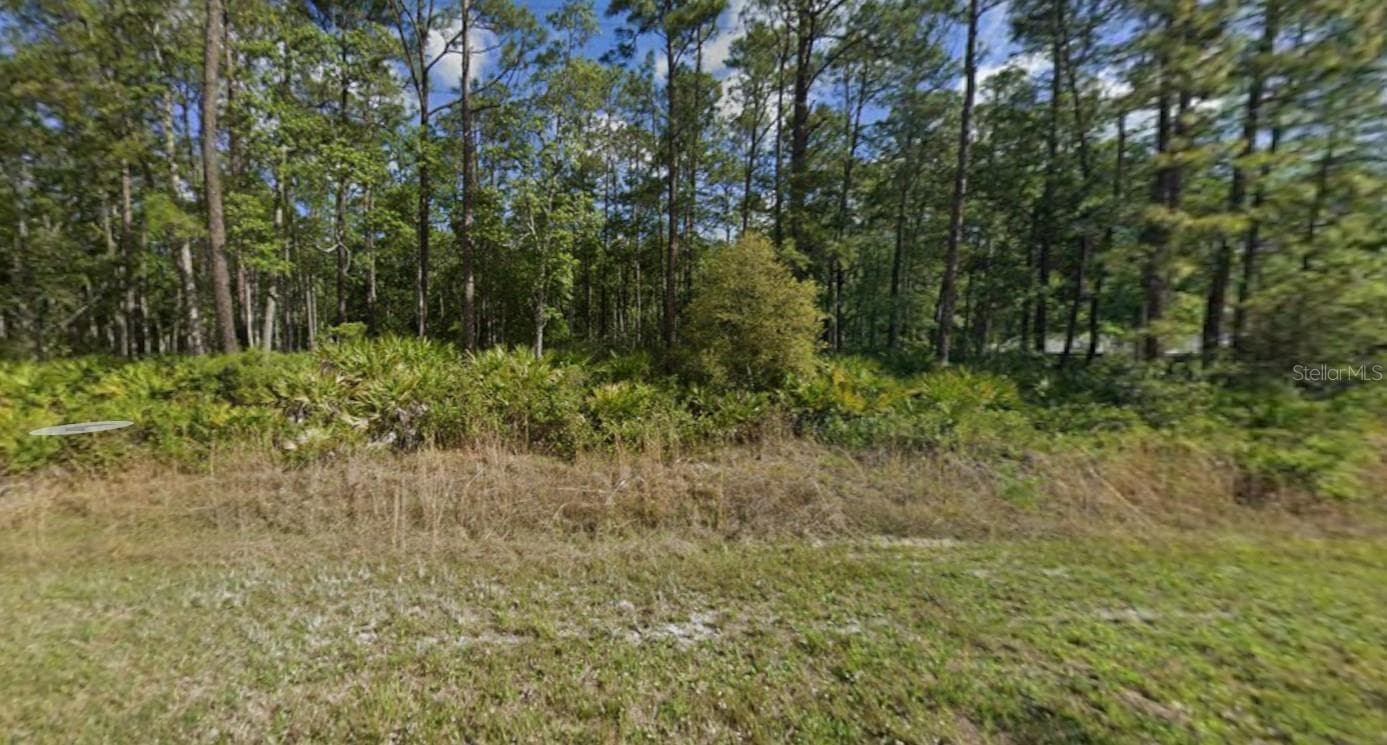 608 HICKORY NUT TRL
