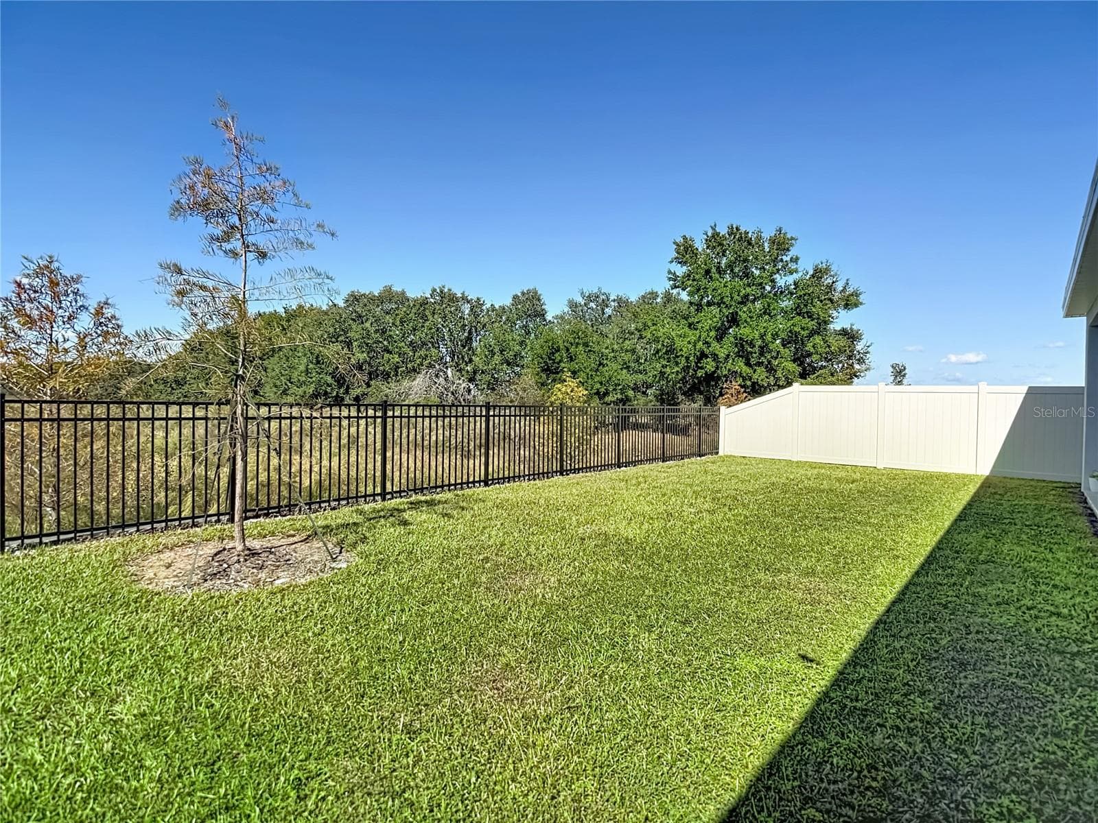 Large Backyard! - 10471 BRIDGEGATE HEIGHTS LOOP, SAN ANTONIO