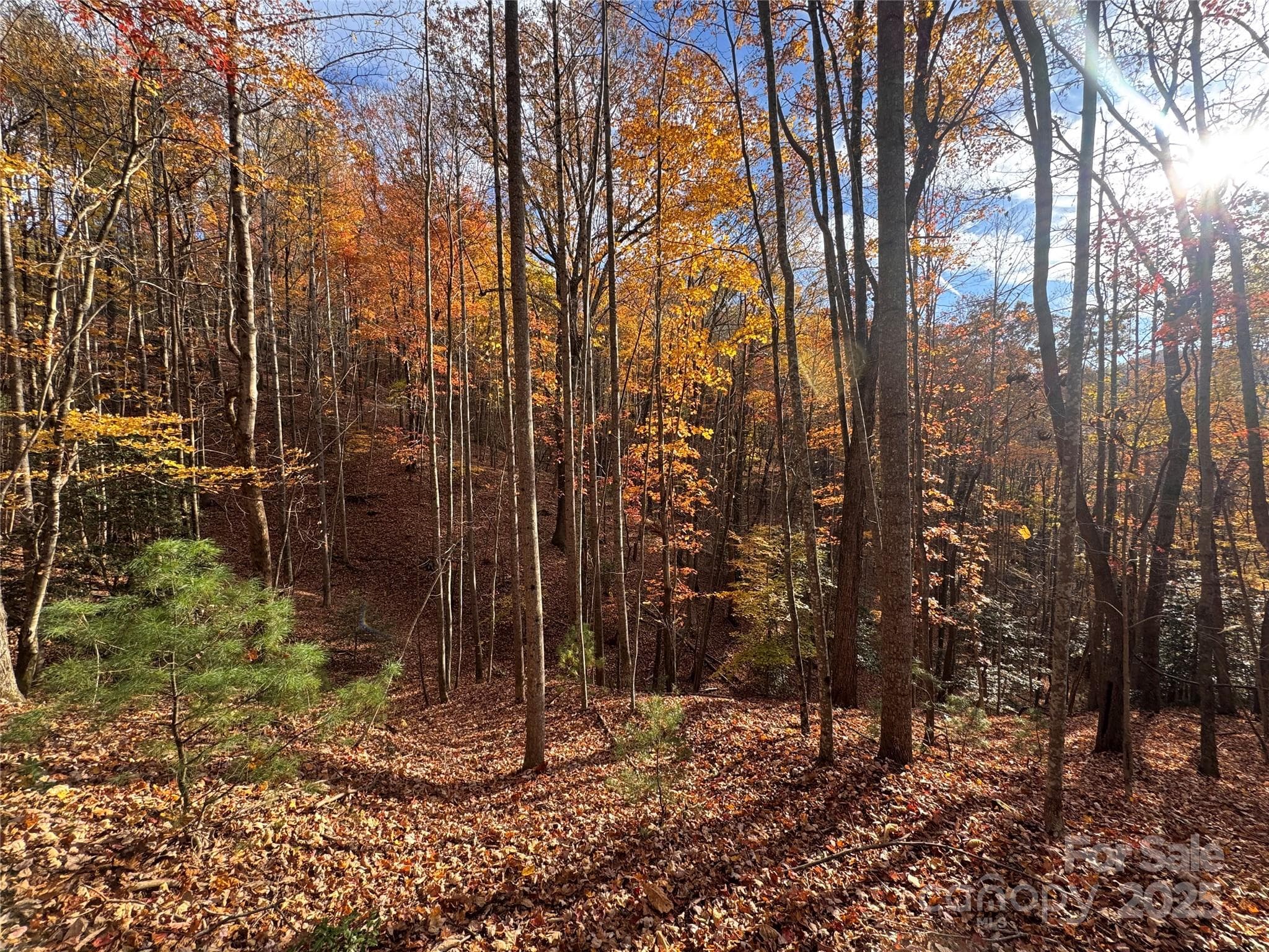 Acreage at Lenoir, photo 2 of 46