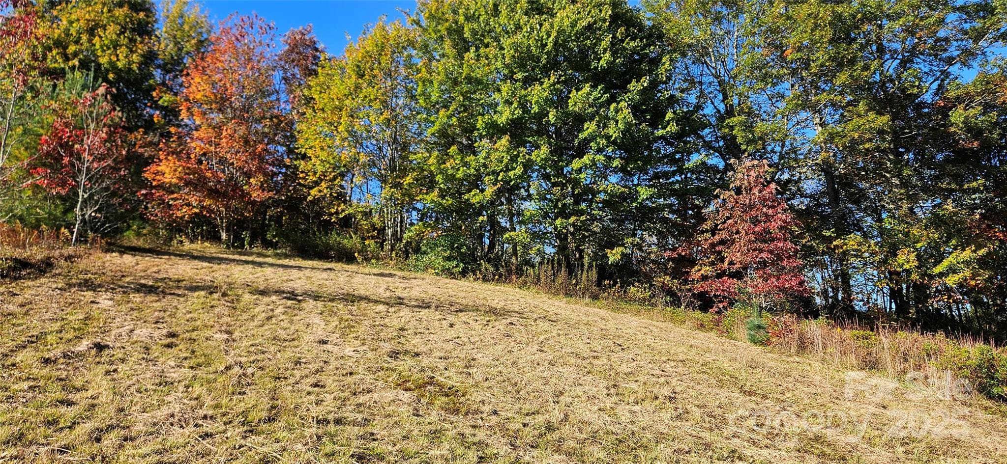 Acreage at 0 Clarktown Road, Newland, photo 2 of 5