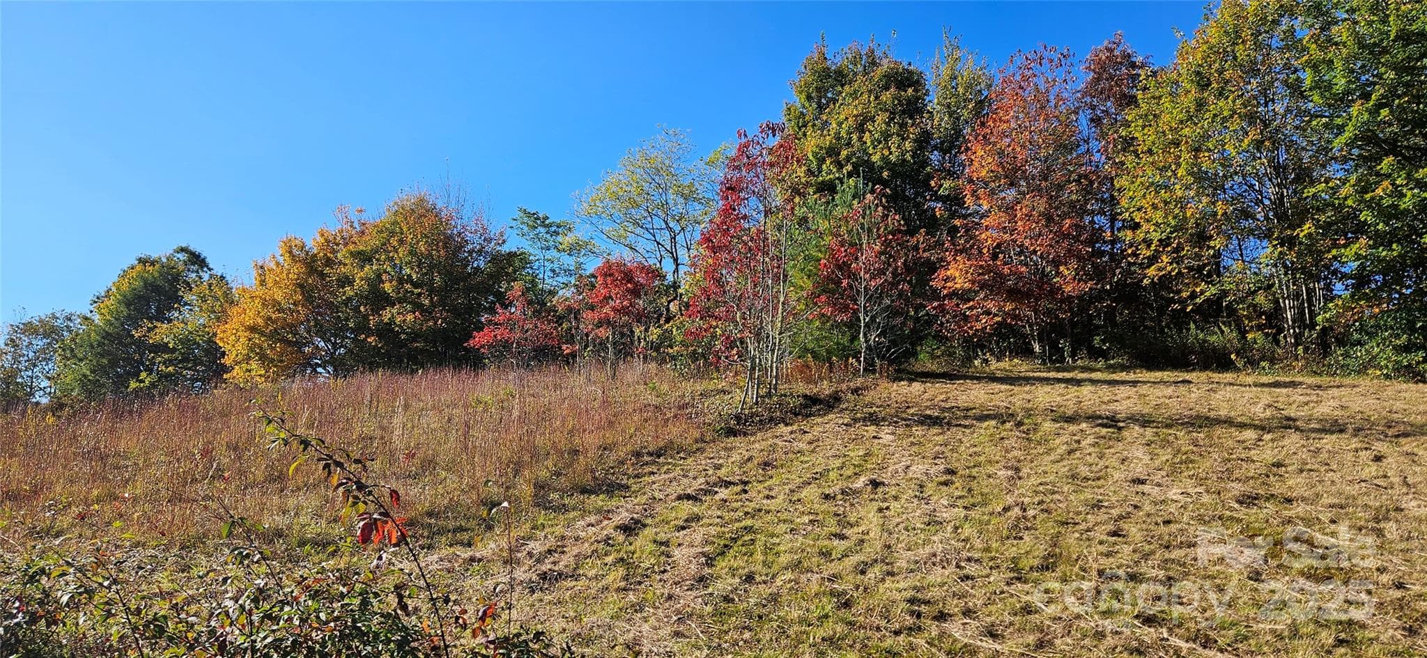 Acreage at 0 Clarktown Road, Newland, photo 3 of 5