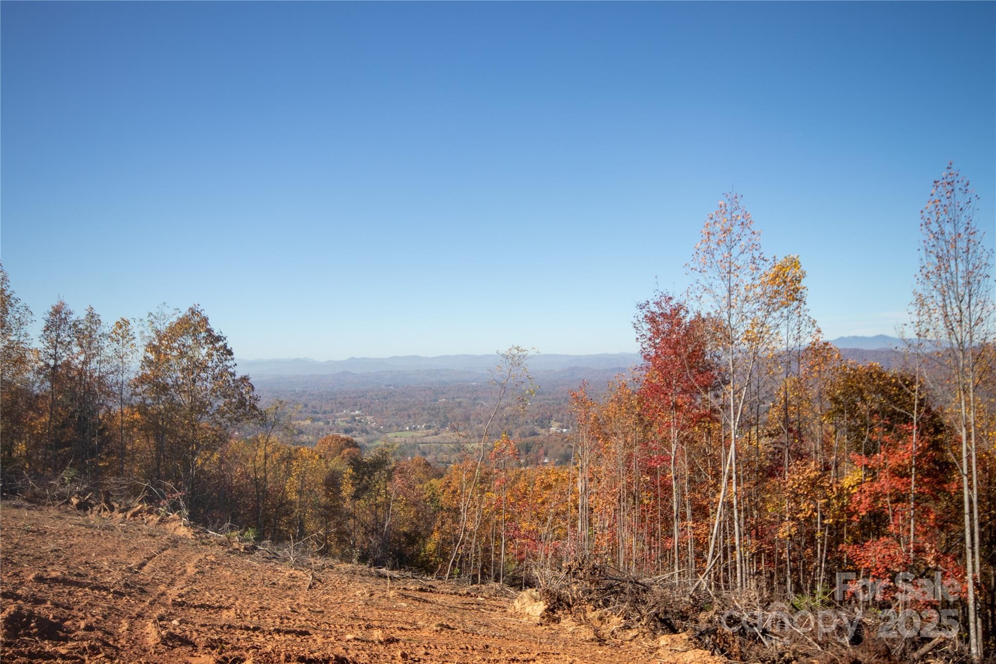 Lot at Lenoir, photo 6 of 12