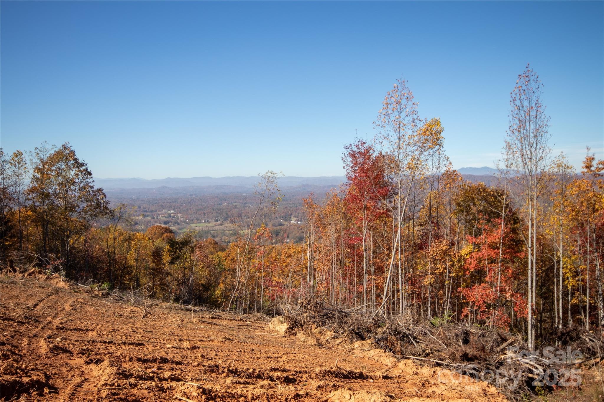 Lot at Lenoir, photo 7 of 12