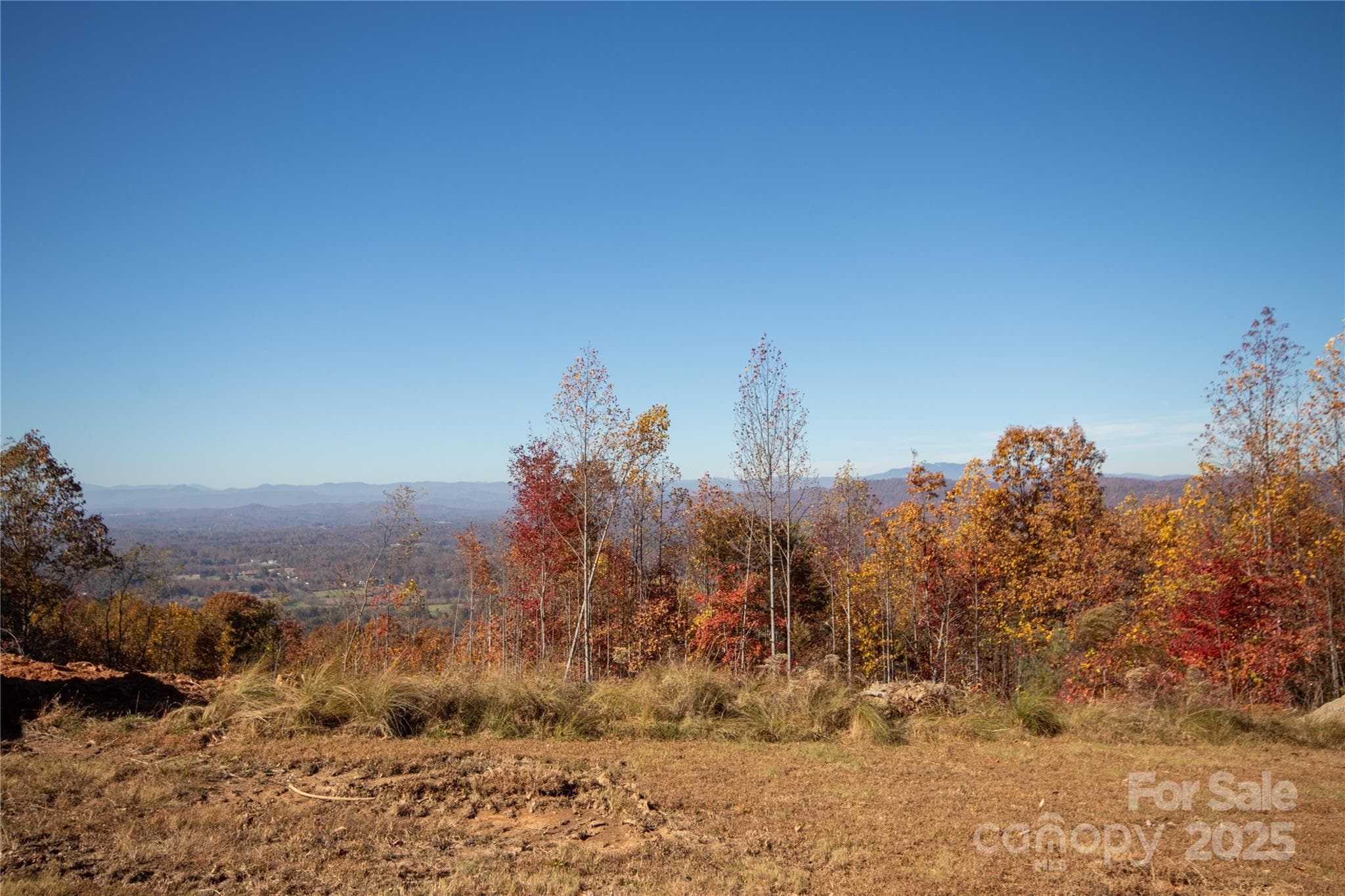 Lot at Lenoir, photo 9 of 12