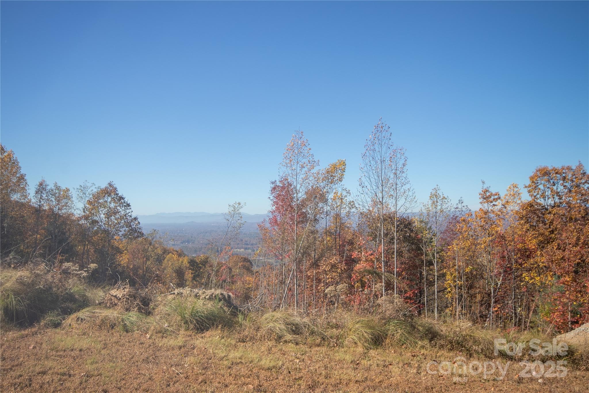 Lot at Lenoir, photo 10 of 12