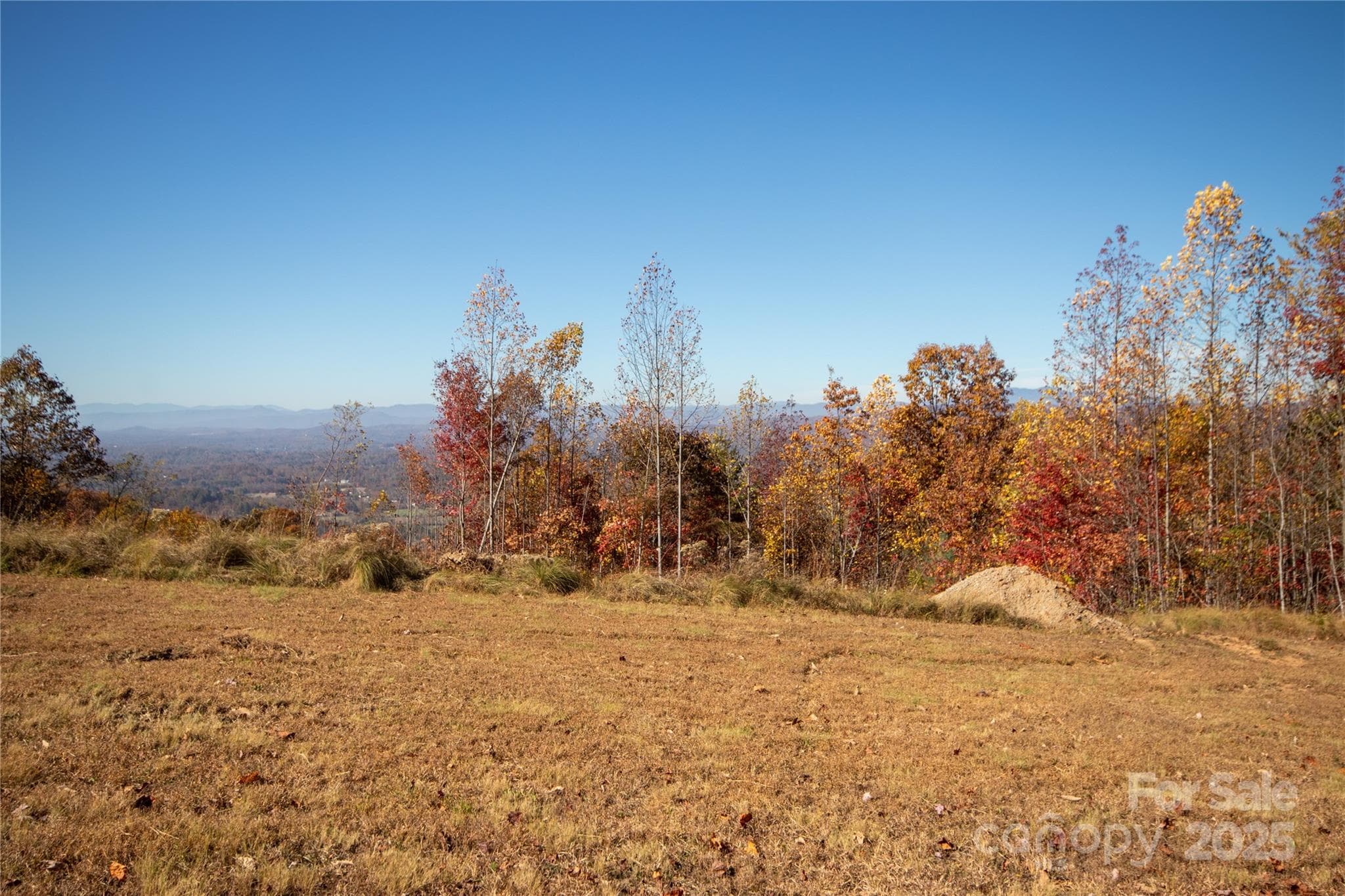 Lot at Lenoir, photo 11 of 12