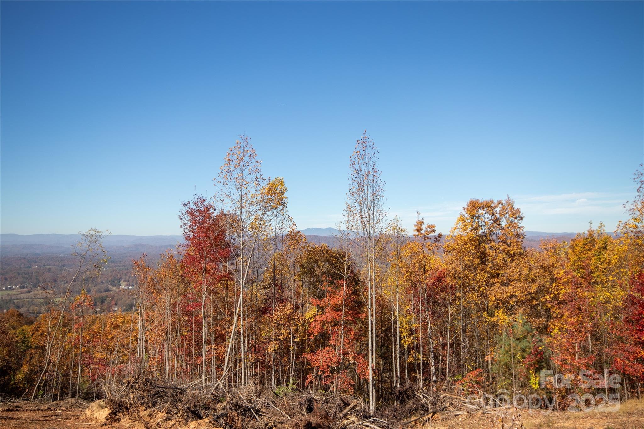 Taken From Lot#3 To Show View Once Cleared - Lenoir