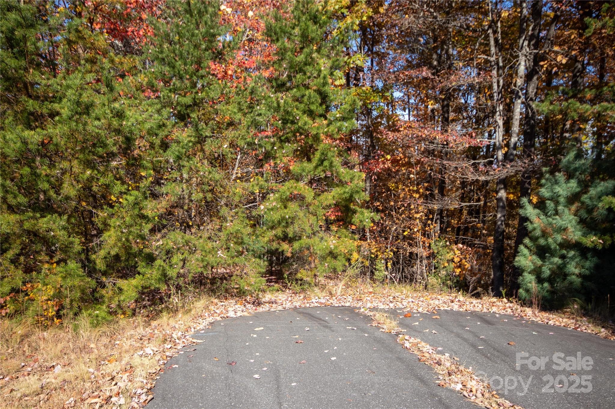 Property starts at end of Pavement - Lenoir