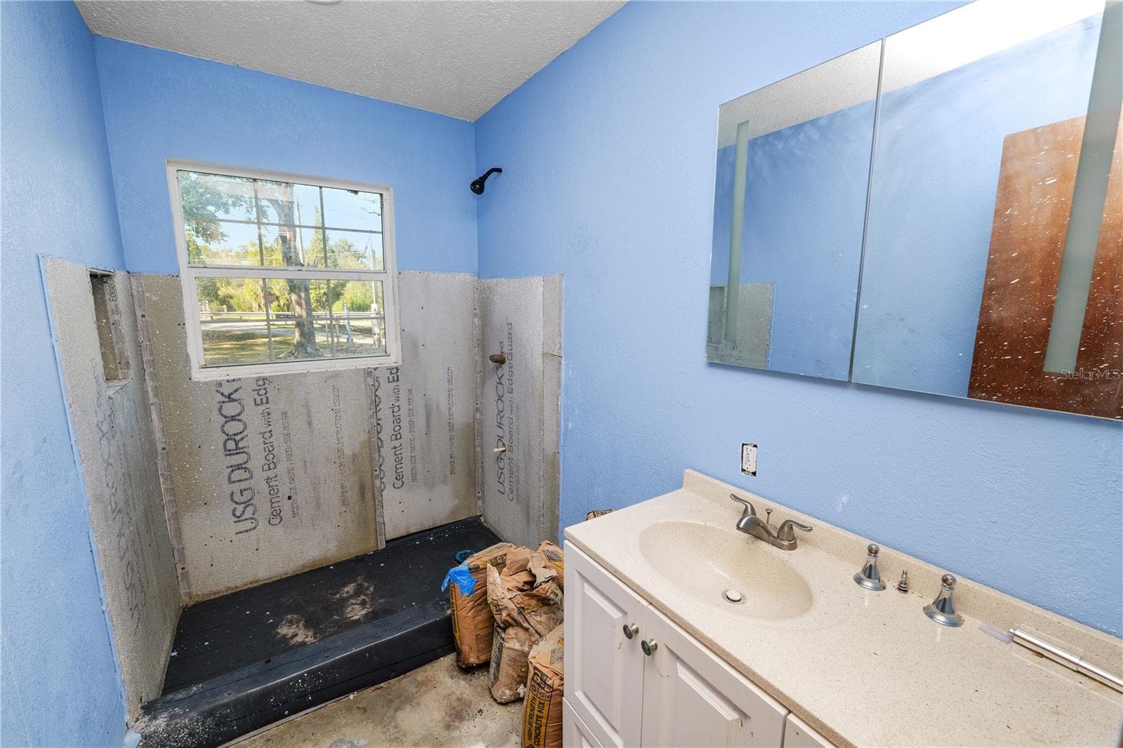 Separate Home-Rental Bathroom in middle of remodel - 109 NE 4TH AVE, MULBERRY