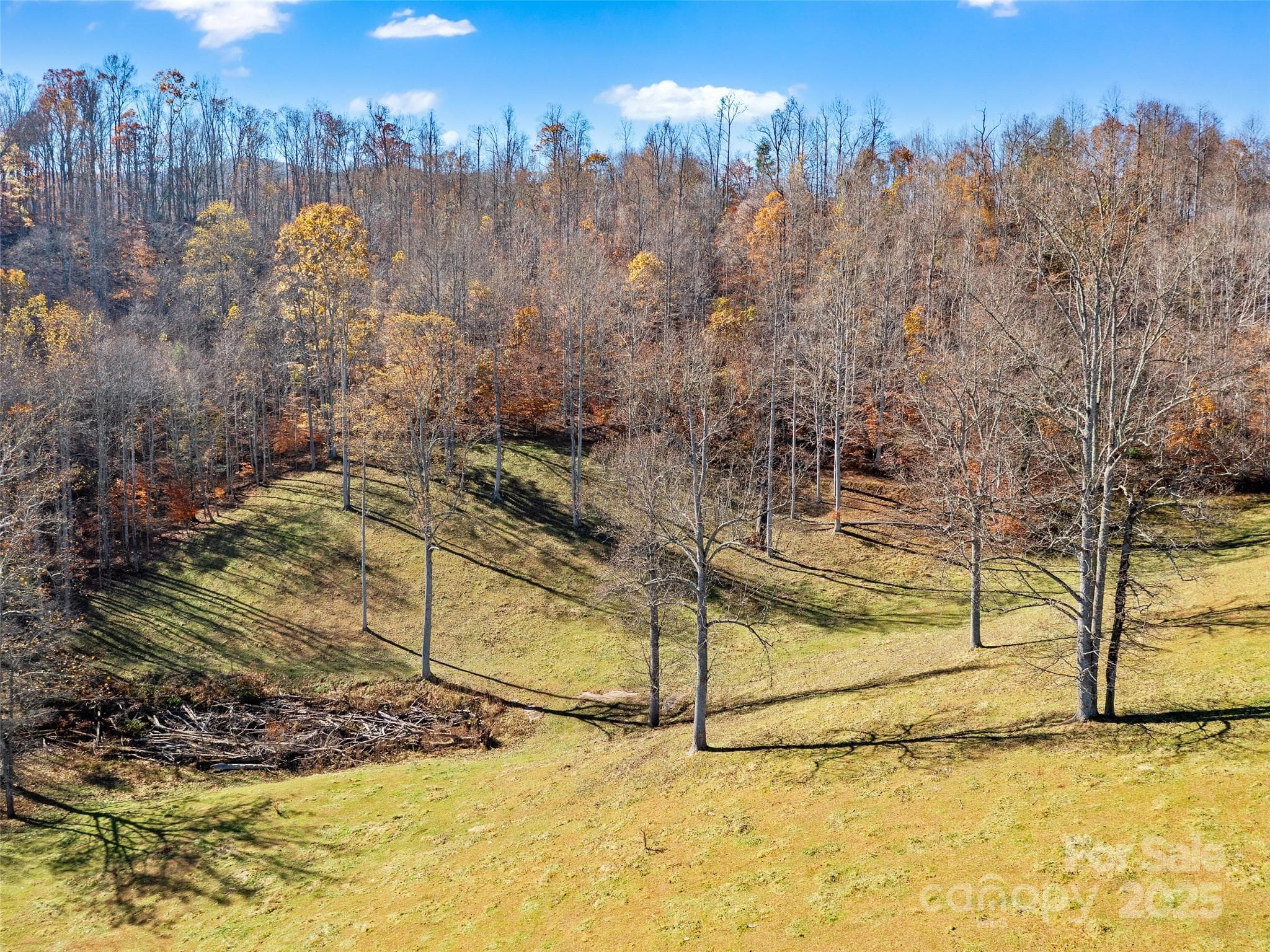 Single Family Residence at 321 Lyle Lane, Green Mountain, photo 8 of 37