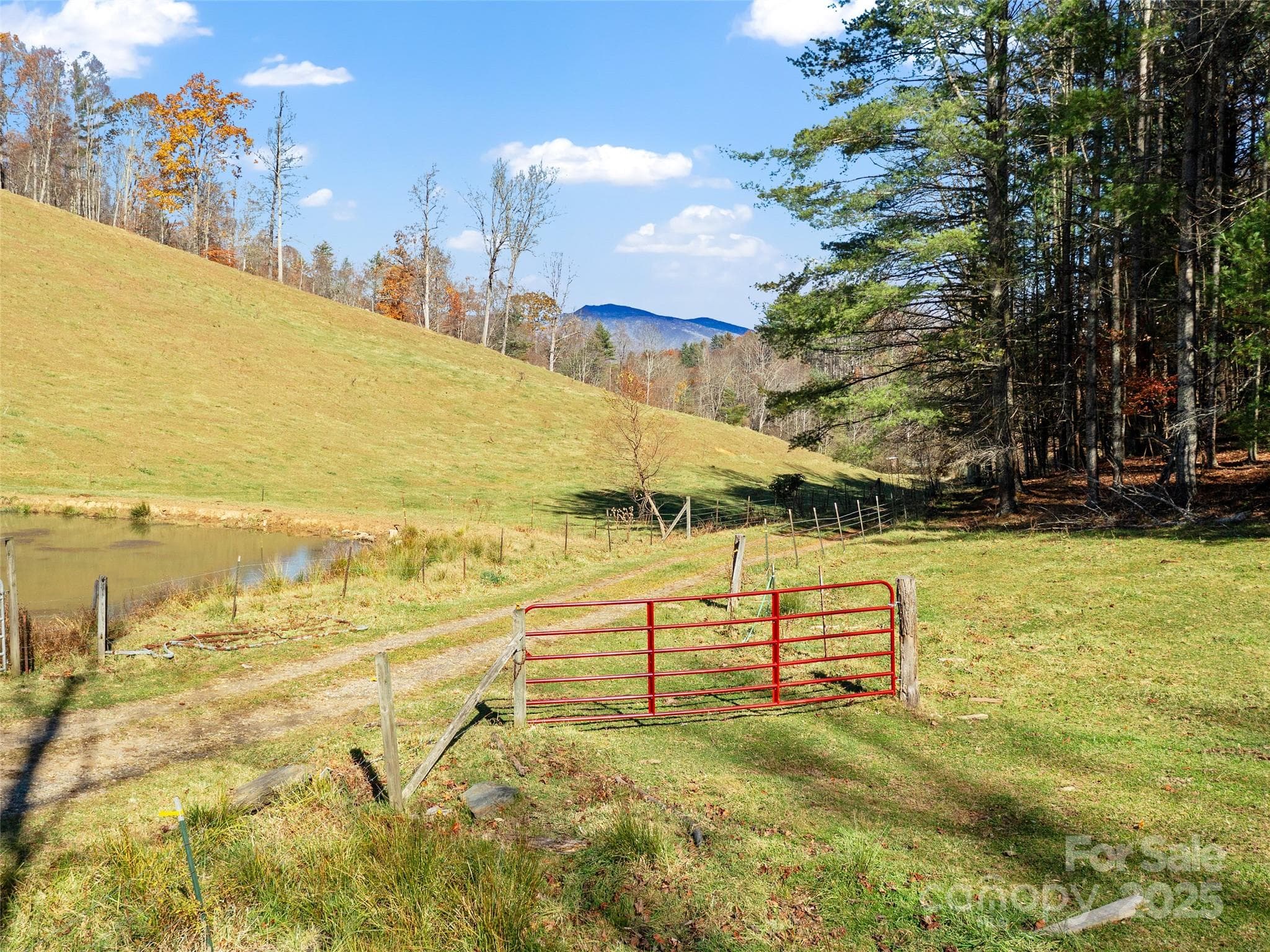 Single Family Residence at 321 Lyle Lane, Green Mountain, photo 17 of 37