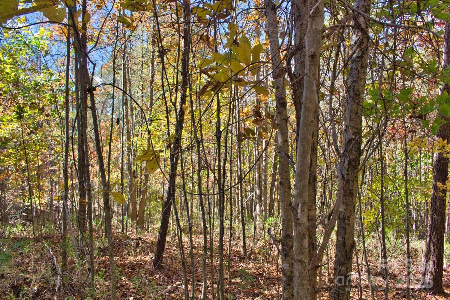 Lot at Rutherfordton, photo 2 of 4