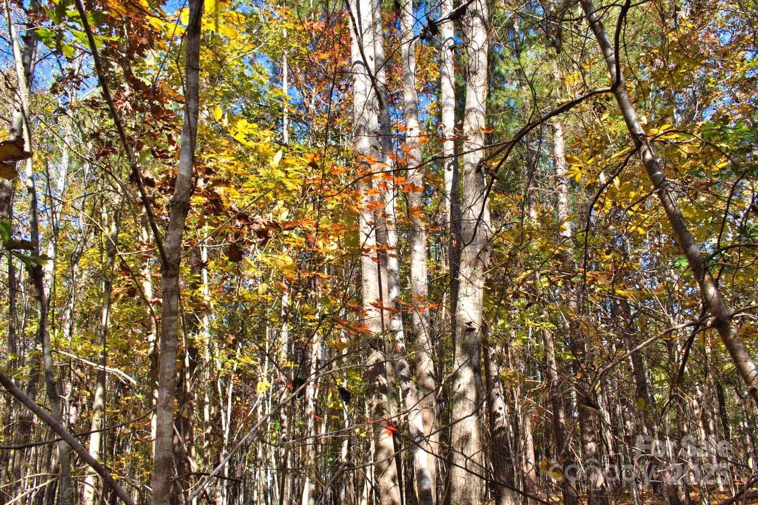 Lot at Rutherfordton, photo 4 of 4