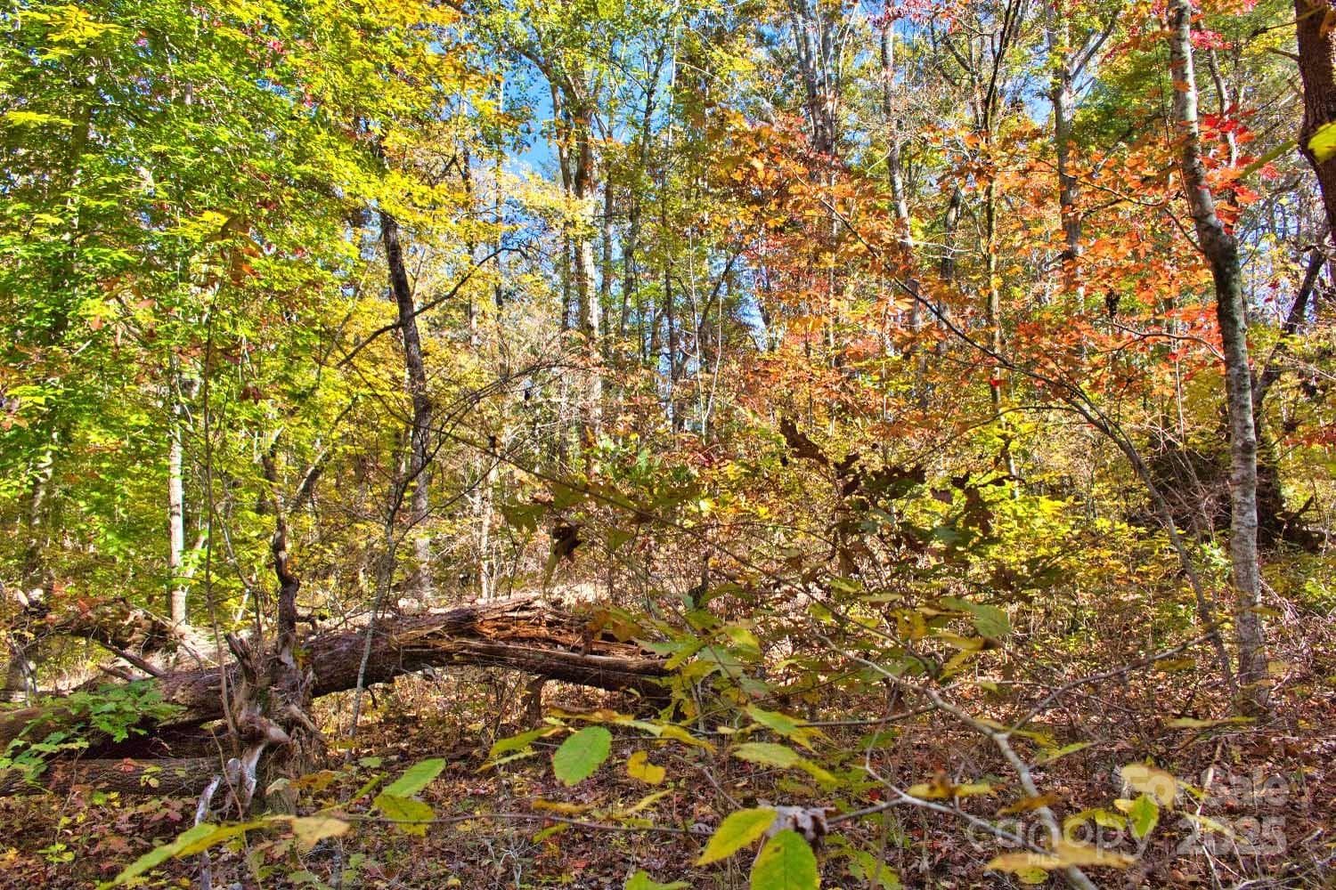 Lot at Rutherfordton, photo 2 of 5