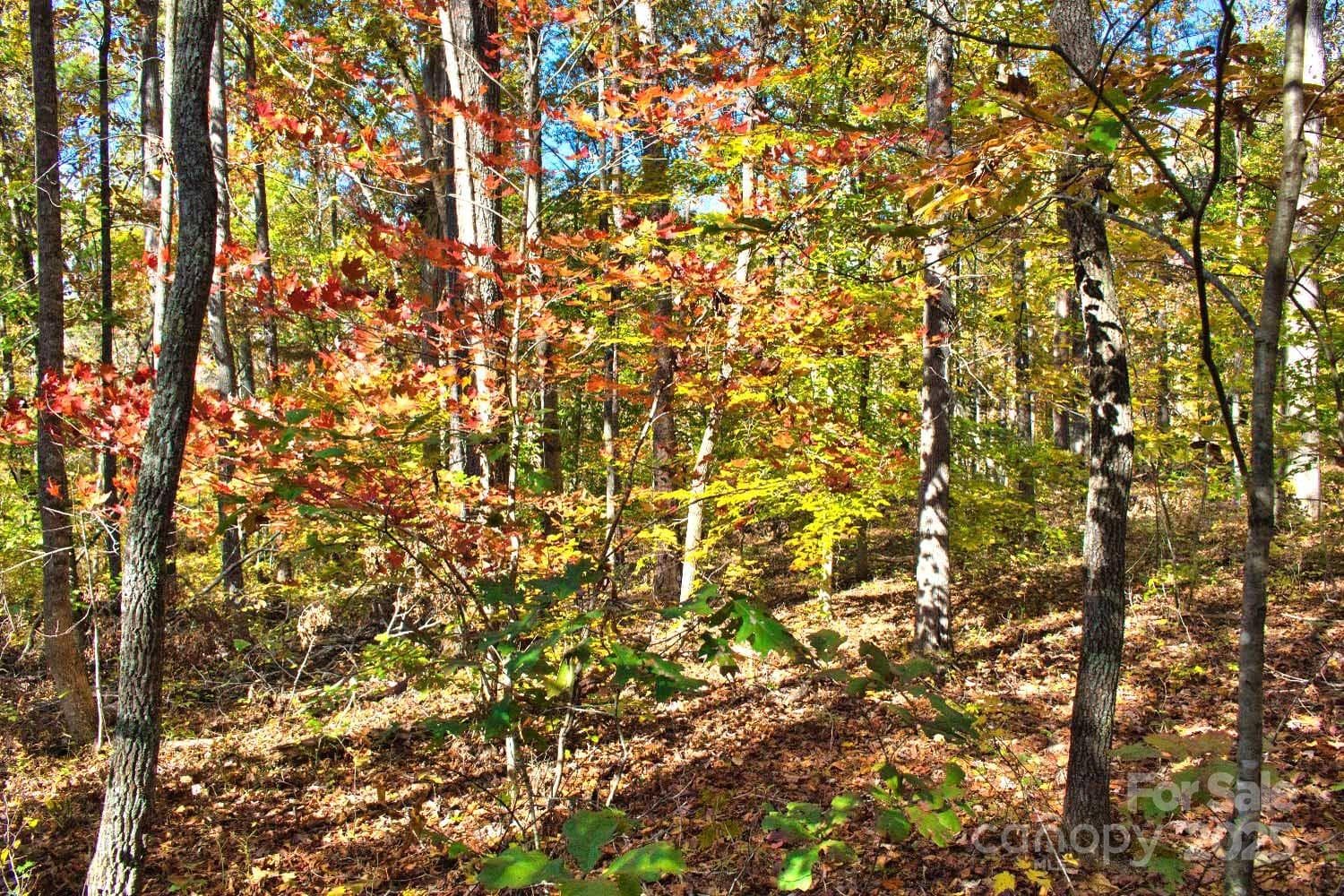Lot at Rutherfordton, photo 3 of 5