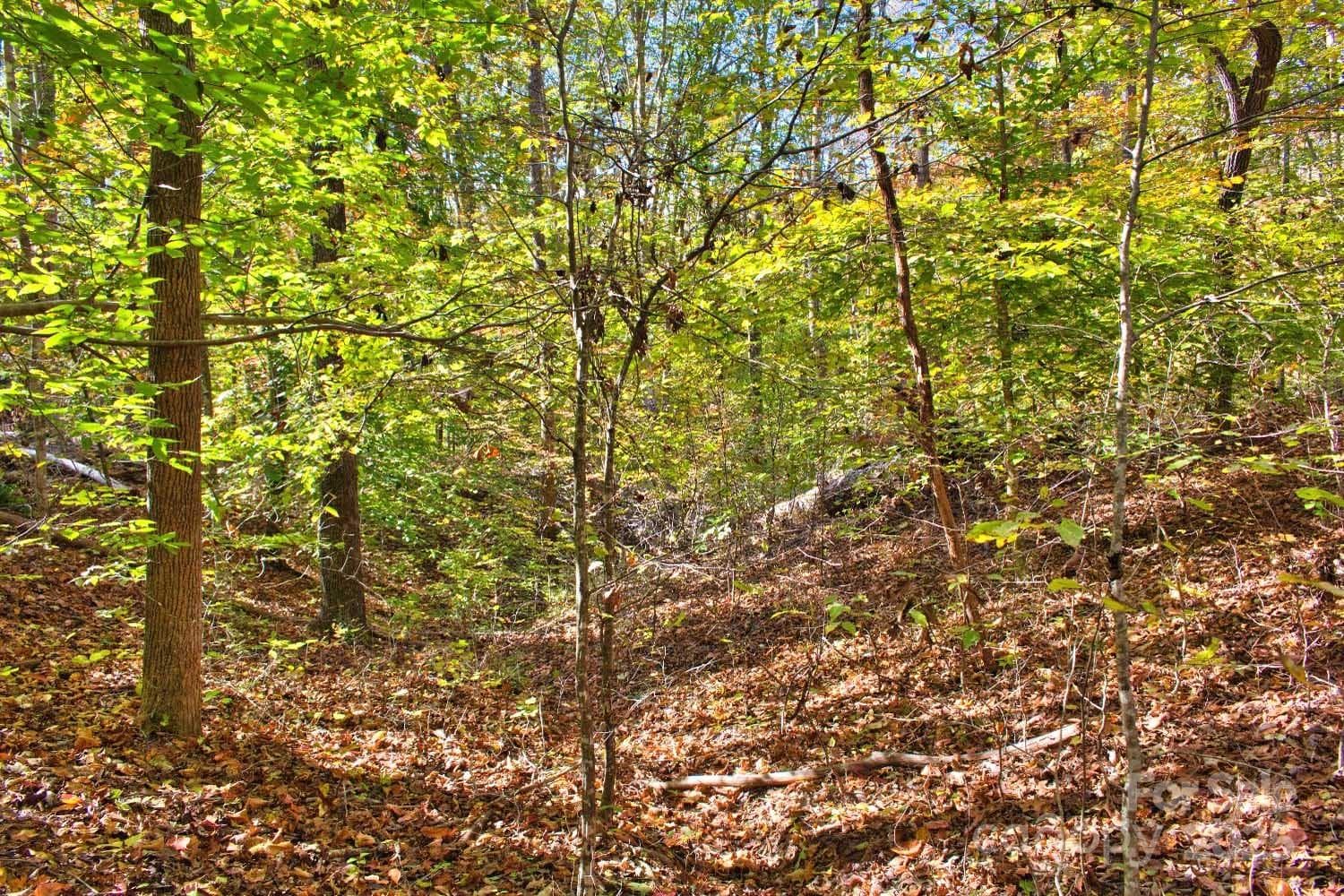 Lot at Rutherfordton, photo 4 of 5